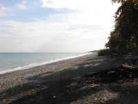 thumb_226_befunkydsc03988.jpg.jpg