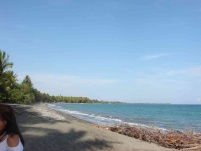 thumb_226_befunkydsc03989.jpg.jpg